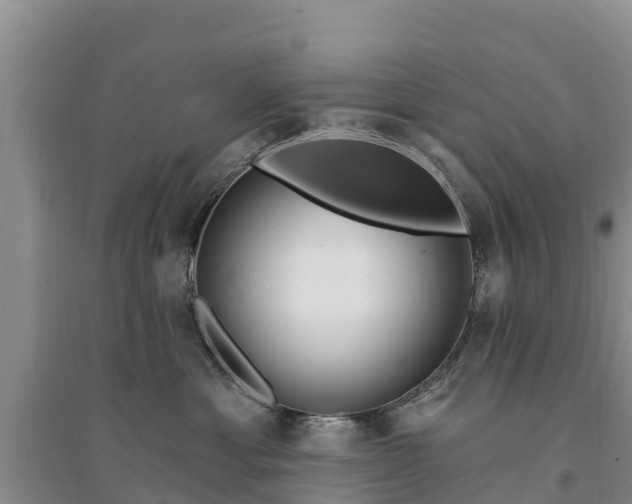 X0000094330429200711091410
