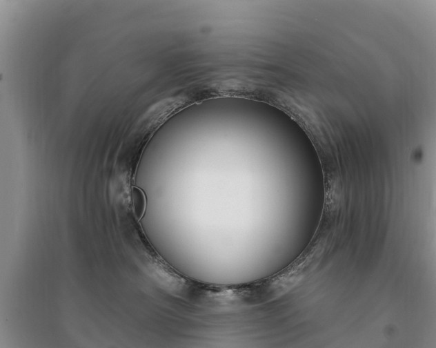 X0000094330430200711091410