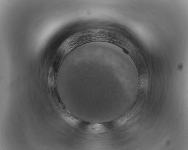 X0000094330431200711091409