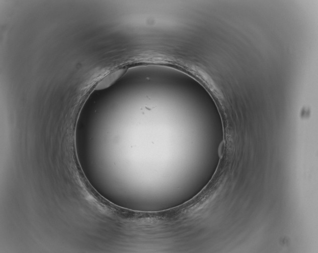 X0000094330433200711091409