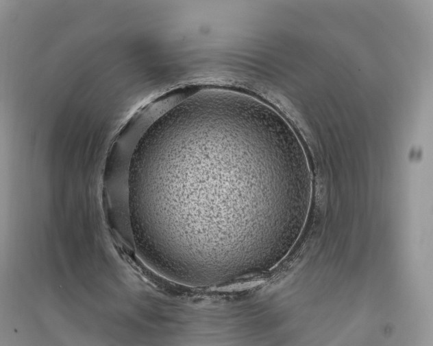 X0000094330434200711091409