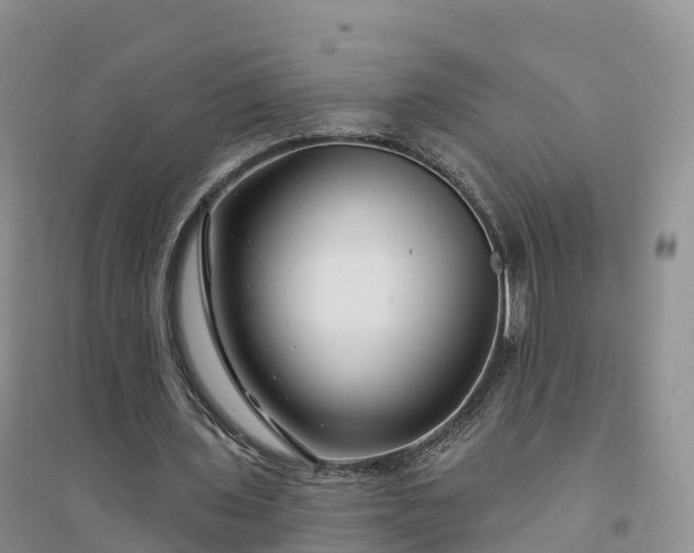 X0000094330435200711091409