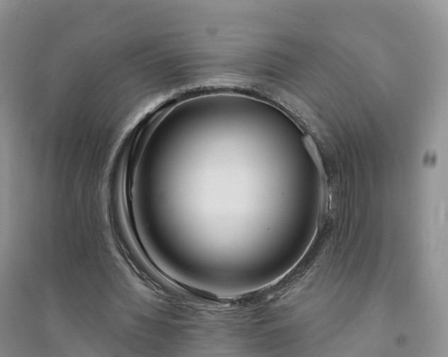 X0000094330436200711091409