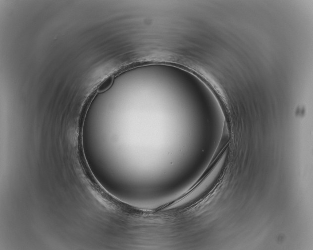 X0000094330437200711091409