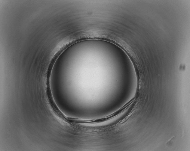 X0000094330438200711091409