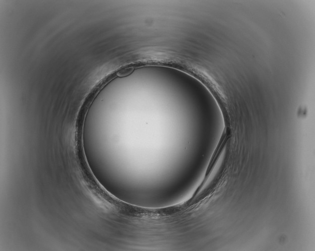 X0000094330439200711091409