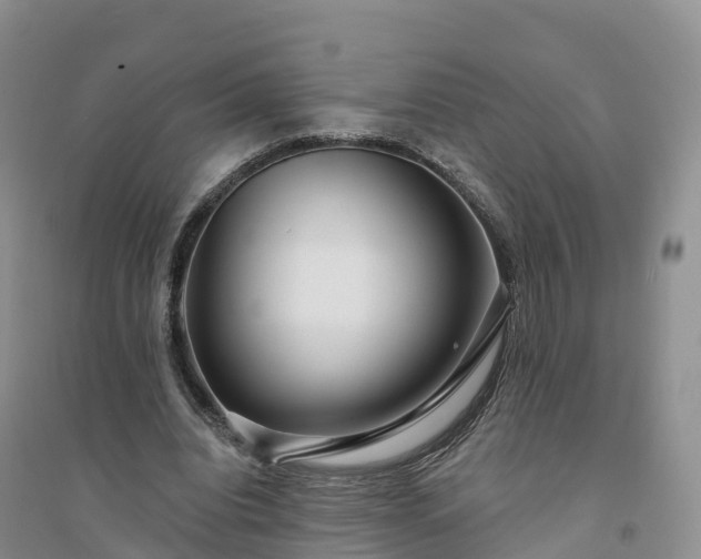X0000094330440200711091409