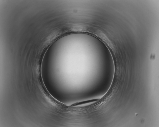 X0000094330441200711091409