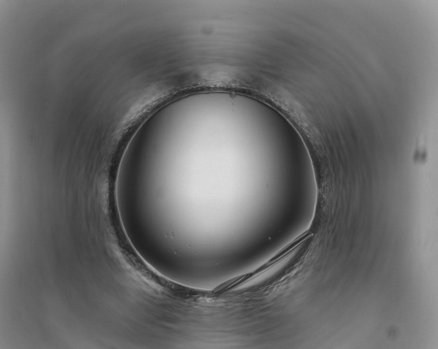 X0000094330442200711091409