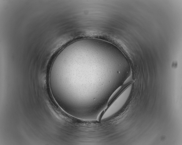 X0000094330443200711091409