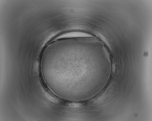 X0000094330444200711091409