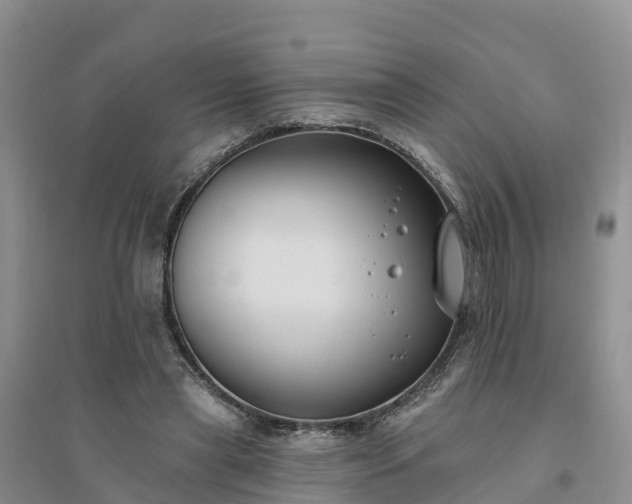 X0000094330445200711091409