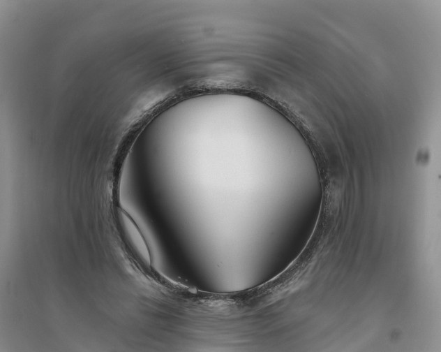X0000094330446200711091409
