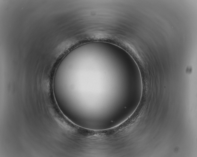 X0000094330447200711091409