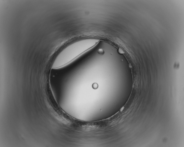 X0000094330448200711091409
