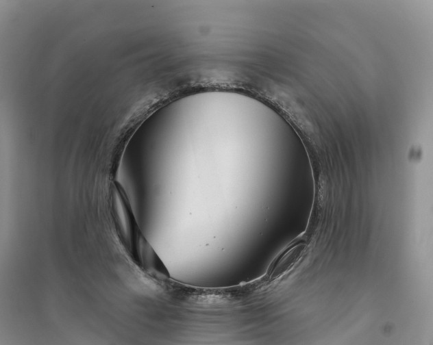 X0000094330449200711091409