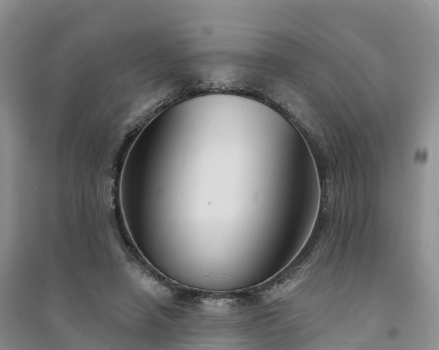 X0000094330450200711091409