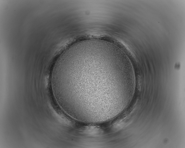 X0000094330451200711091409