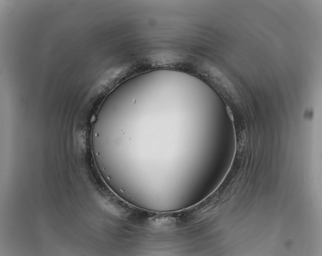 X0000094330452200711091409