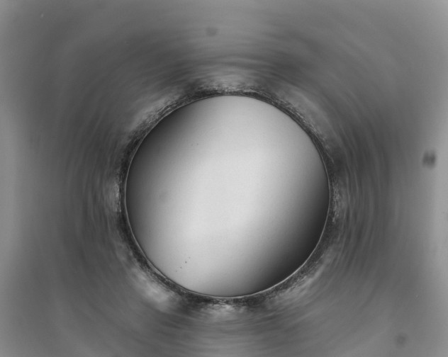 X0000094330453200711091409
