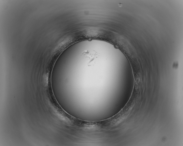X0000094330454200711091409