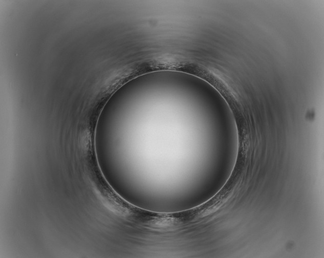 X0000094330459200711091409