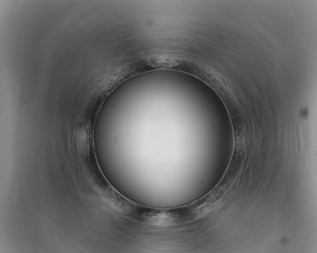 X0000094330460200711091409
