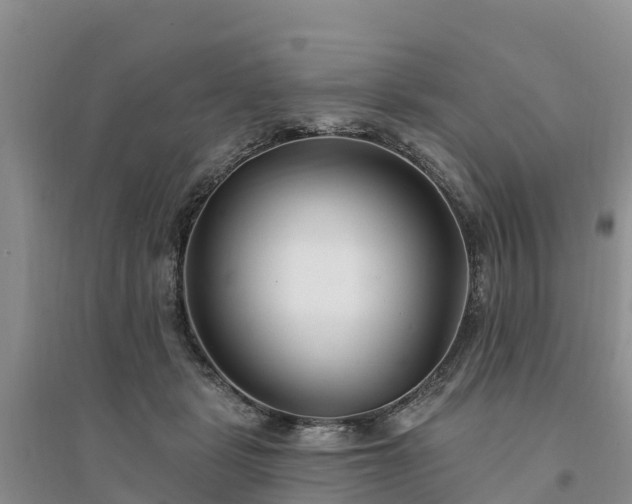 X0000094330461200711091409