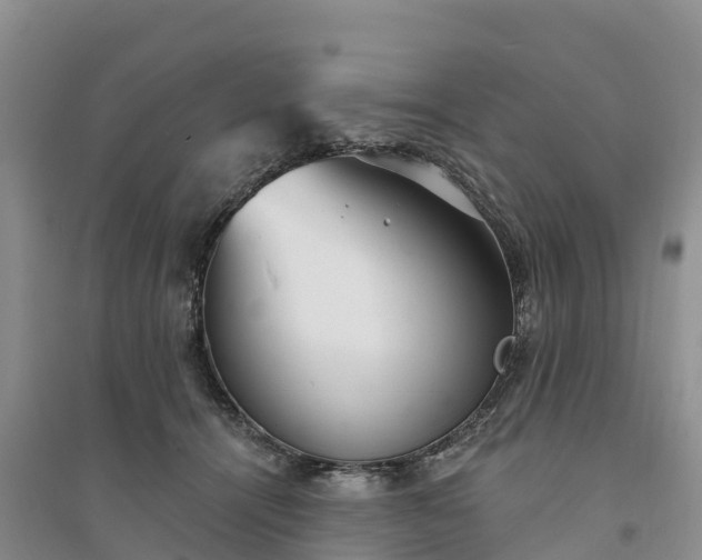 X0000094330464200711091409