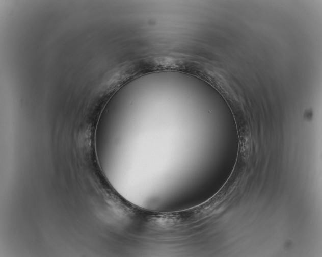 X0000094330466200711091409