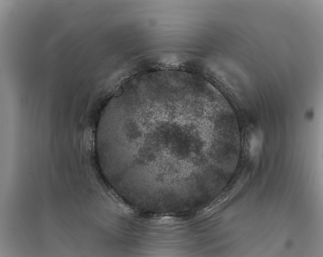 X0000094330467200711091409