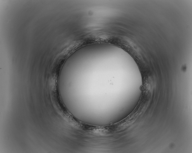 X0000094330468200711091409