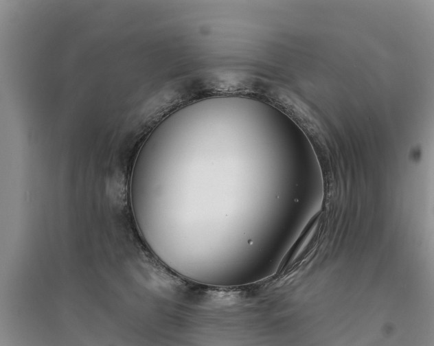 X0000094330469200711091409