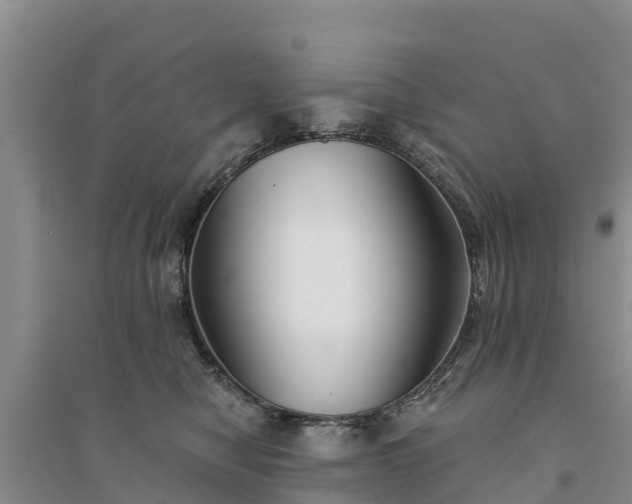 X0000094330470200711091409