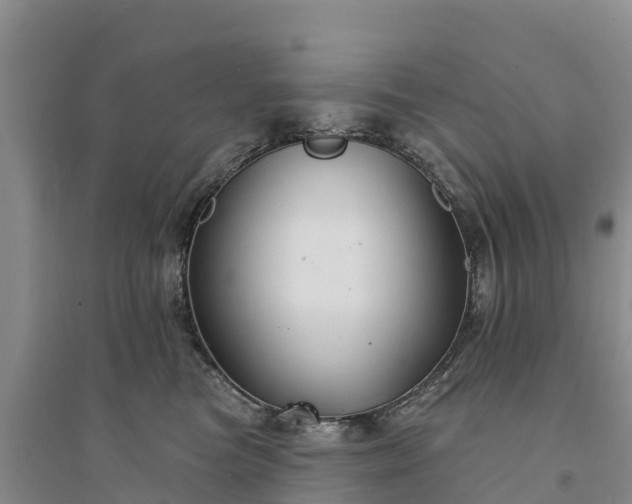 X0000094330473200711091409