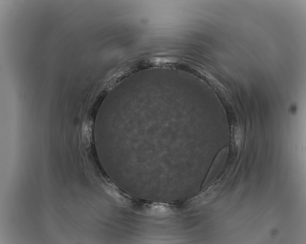 X0000094330475200711091409