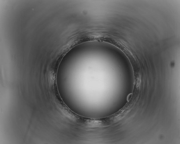 X0000094330476200711091409