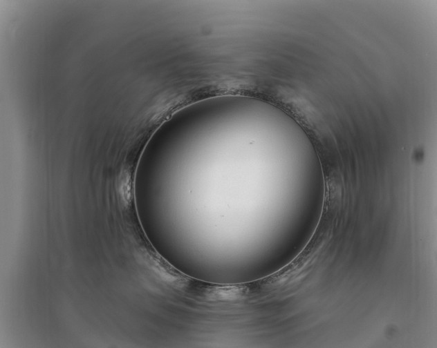 X0000094330479200711091409