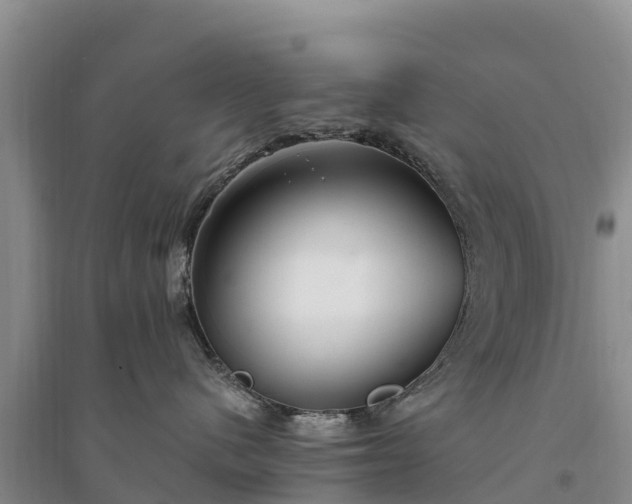 X0000094330480200711091409
