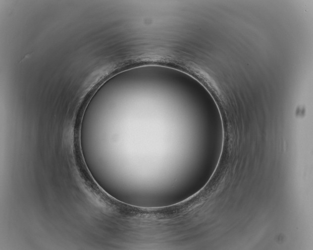 X0000094330482200711091409