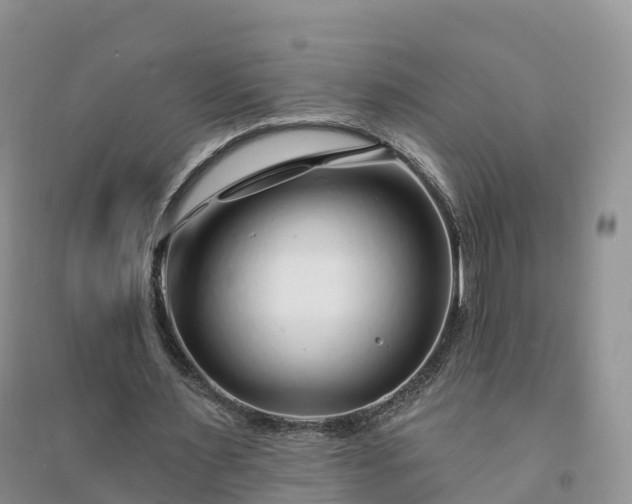 X0000094330483200711091409