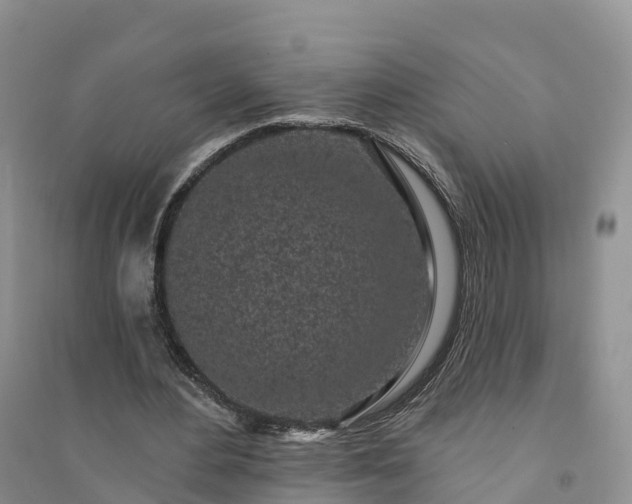 X0000094330484200711091409