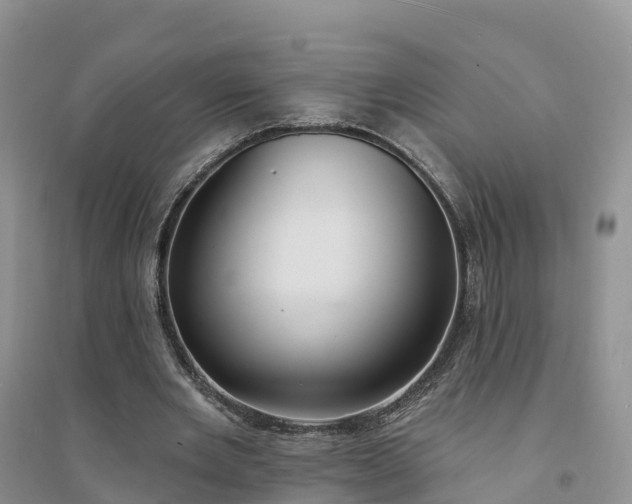 X0000094330485200711091409