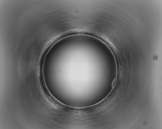 X0000094330486200711091409