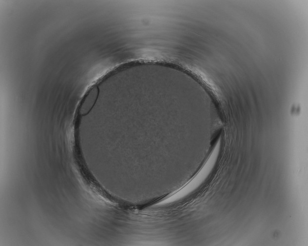 X0000094330488200711091409