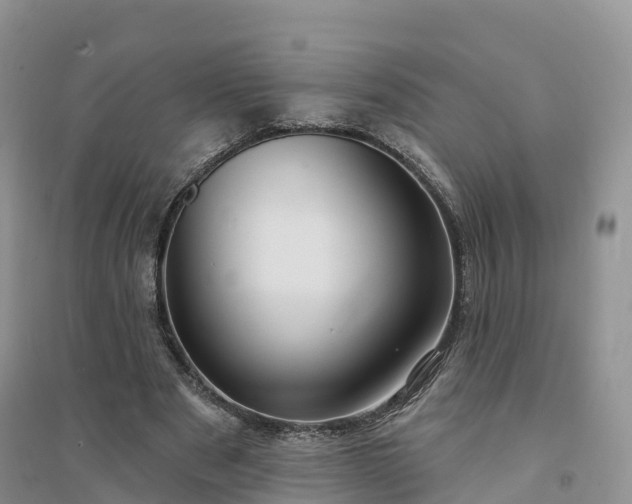 X0000094330489200711091409