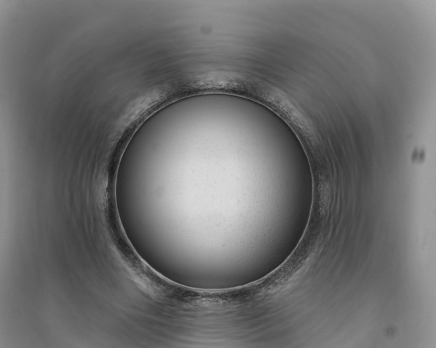 X0000094330490200711091409