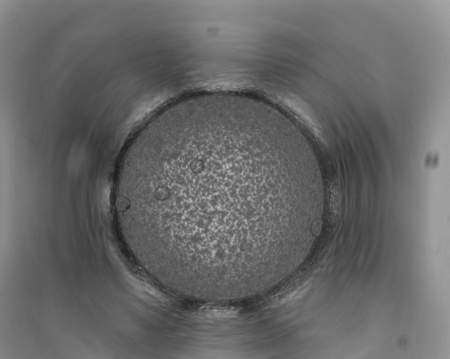 X0000094330491200711091409