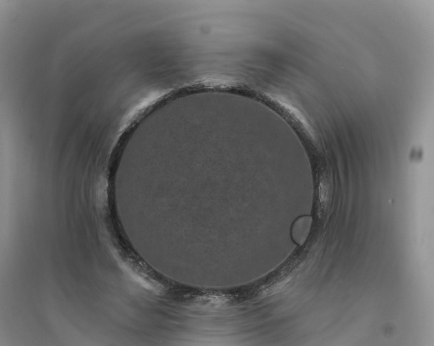 X0000094330492200711091409