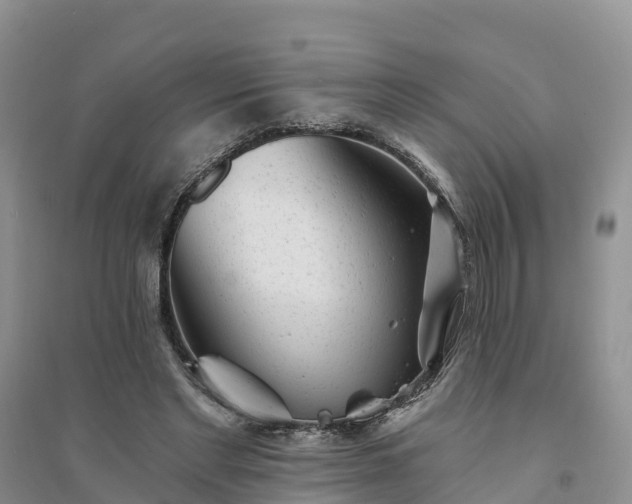 X0000094330493200711091409
